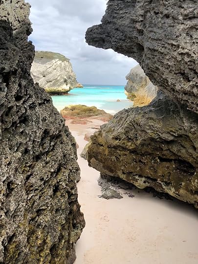  Beautiful Bermuda&nbsp; 