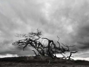 Nuclear Winter. Image: Sebastian Knight/Stockphoto.com.