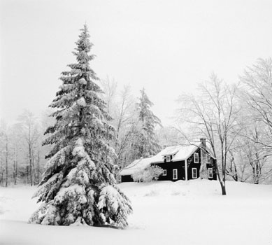 snowy-christmas-eve