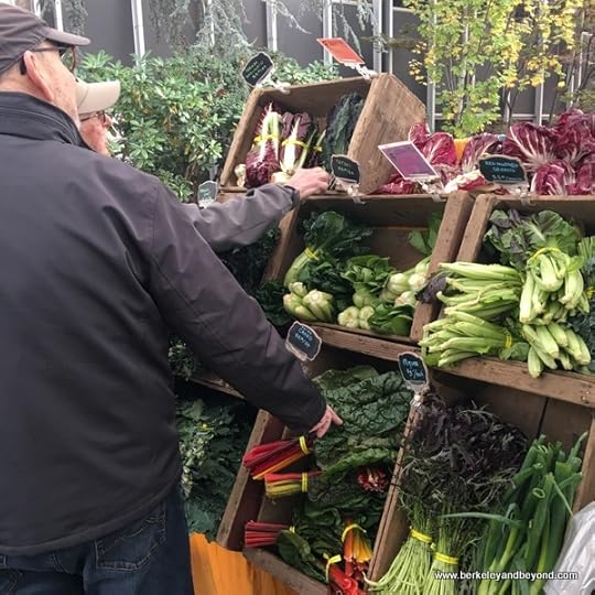 organic veggies at Portland Farmers Market in Portland, Oregon