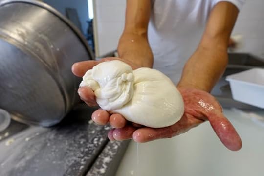 Burrata 