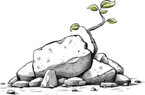 Resilience 1