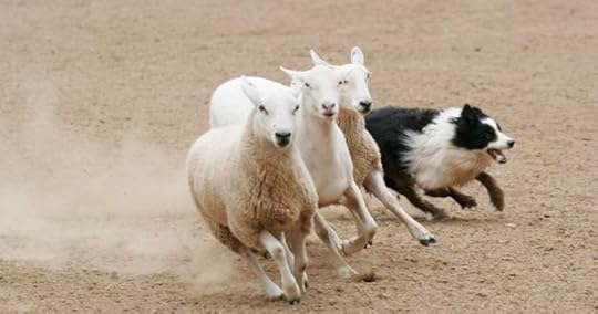 lead enterprise transformation