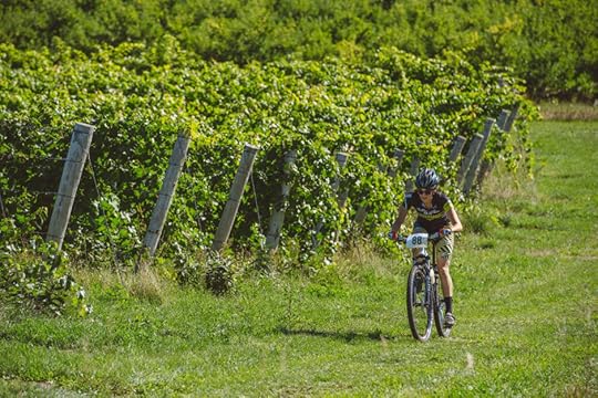 Biking in the Vines, Traverse City