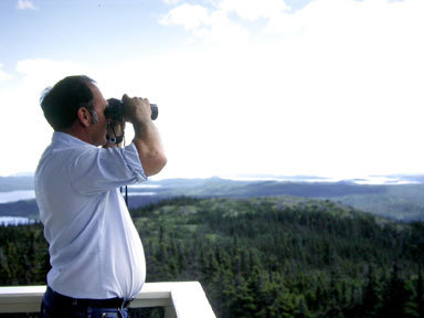 the-lookout-doing-his-job