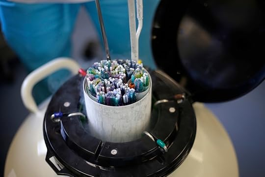 embryos liquid nitrogen