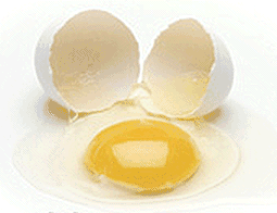 the-perfect-egg-crack