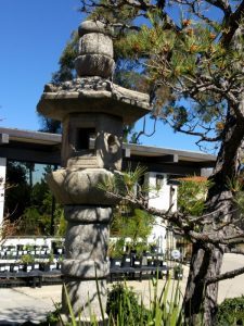 Japanese garden
