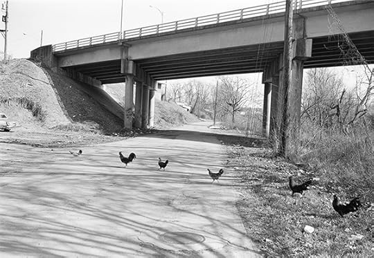 Mark_Steinmetz