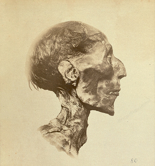 ramses ii head