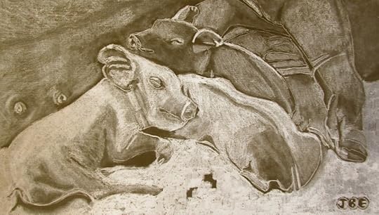 piglets