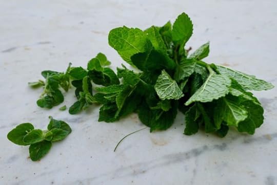 Squid and Artichokes