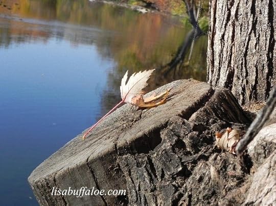 Fallen leaf photo by Lisa Buffaloe