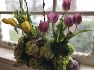 Tulips 2018