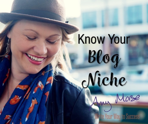 Know your blog niche webinar