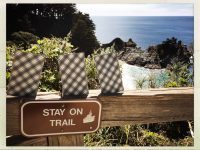 Free Psychic-Tarot reading – How to stay on your path.