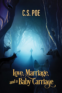 https://www.dreamspinnerpress.com/books/love-marriage-and-a-baby-carriage-by-cs-poe-7129-b