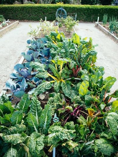 How Much to Plant in a Vegetable Garden to Feed a Family