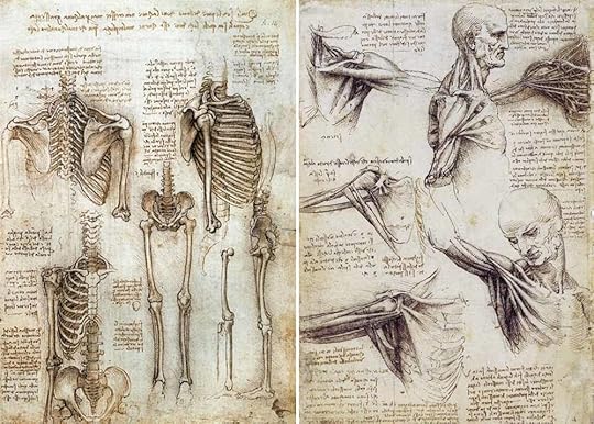 da vinci