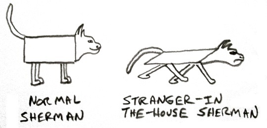 sherman's angles