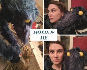 Cypher Chronicles, vol. 17-2018