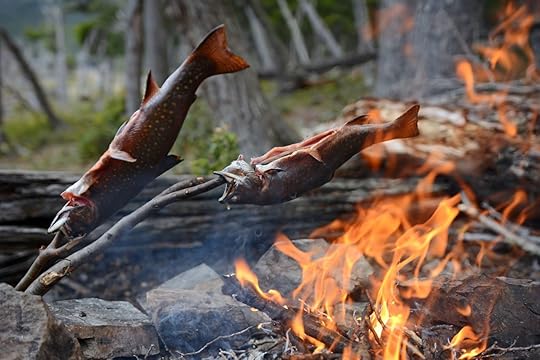 Wild colorful trouts in Patagonia
