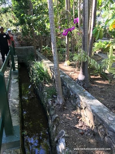 gardens at Adrasta Gardens, Zoo & Conservation Centre in Nassau, Bahamas