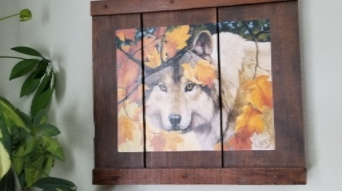  photo 6702e0b1-df97-4a04-acdf-0a9b5d49a2d0_zpsps8ty0tp.jpg