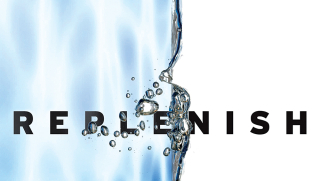 Series.replenish