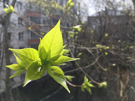 Spring in Moscow