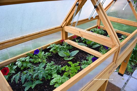 VegTrug Elevated Beds with Wave Petunias and Tomatoes