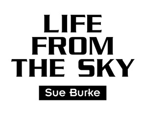 LifeFromTheSky opening paragraphs.jpg