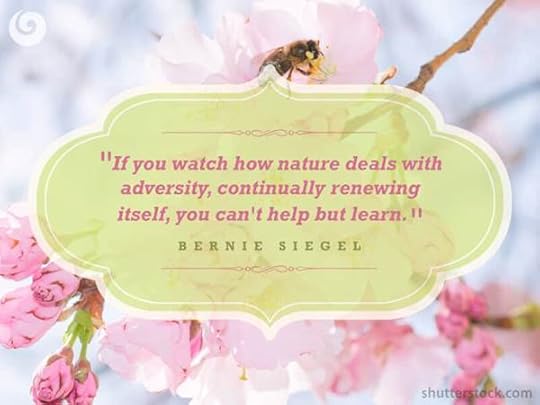 Spirit Quote