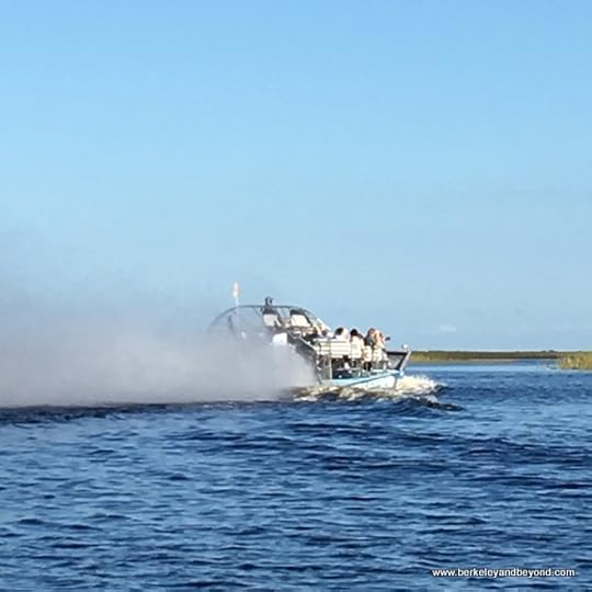 speeding airboat at Sawgrass Recreation Park in Weston, Florida
