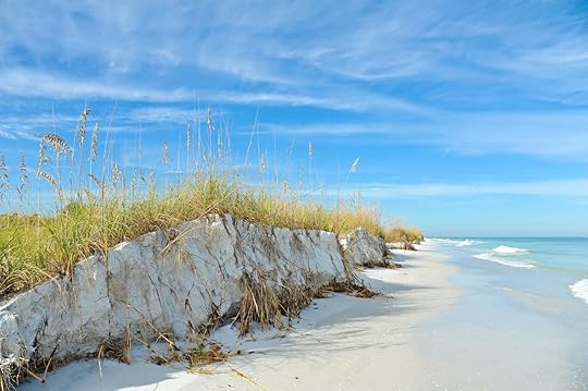 Coastline of Anna Maria Island, Florida