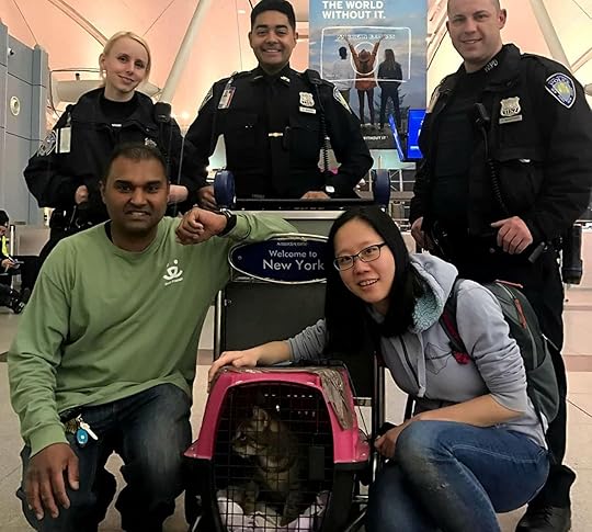 Pepper the cat captured