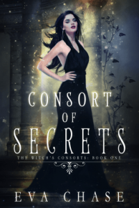 Consort of Secrets Cover