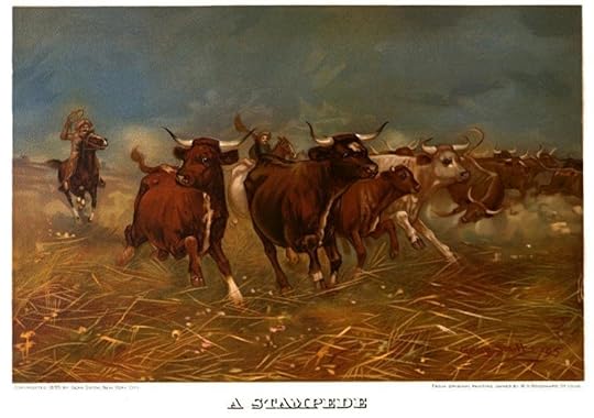 a stampede