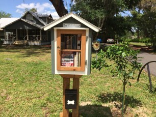 a little free library in my neighborhood