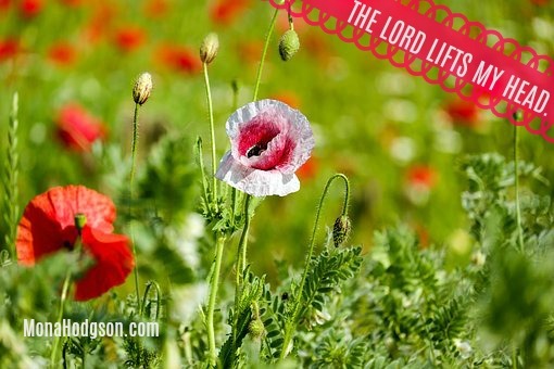 9 Psalms to Bolster You on a Bad Day www.monahodgson.com