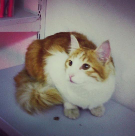 Screenshot_20180508_023142_1