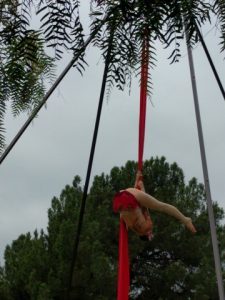 aerialist