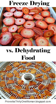 Freeze Dried Food vs. Dehydrated Food - what's the difference?