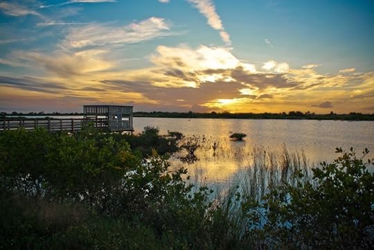 Merritt Island National Wildlife Refuge Florida