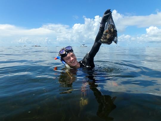Scalloping snorkelling Florida ocean