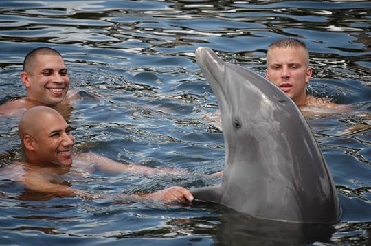 Dolphin Research Center Marathon Florida