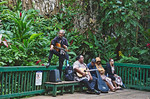 Group of musicians near Fern Grotto (Kauai, Hawaii, United States)