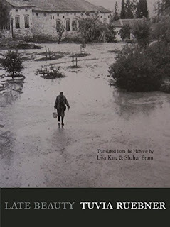 Late Beauty book cover