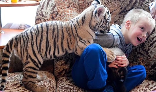  Pet Tigers seem to be a thing . . . 