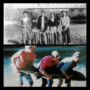 images of Russian River fishing
